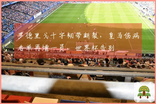罗德里戈十字韧带断裂，皇马伤病名单再增一员，世界杯告别