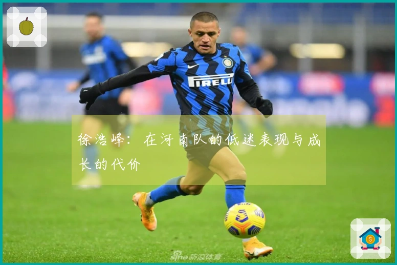 徐浩峰：在河南队的低迷表现与成长的代价