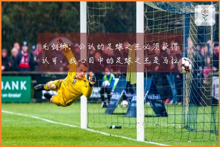 毛剑卿：公认的足球之王必须获得认可，我心目中的足球之王是马拉多纳