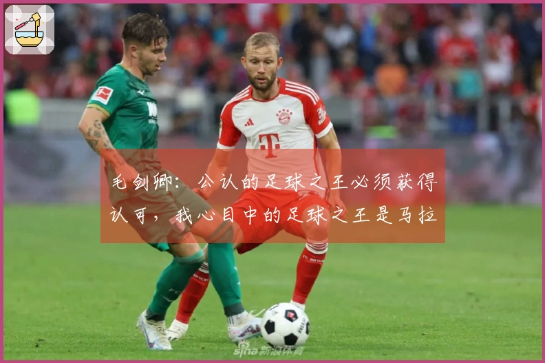 毛剑卿：公认的足球之王必须获得认可，我心目中的足球之王是马拉多纳
